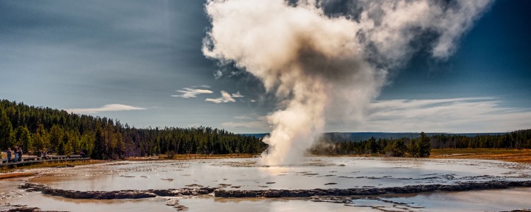 Geyser in Yellowstone