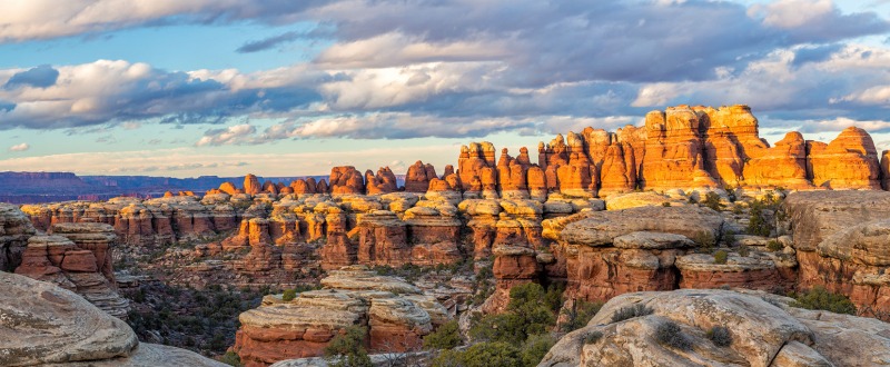 Needles District