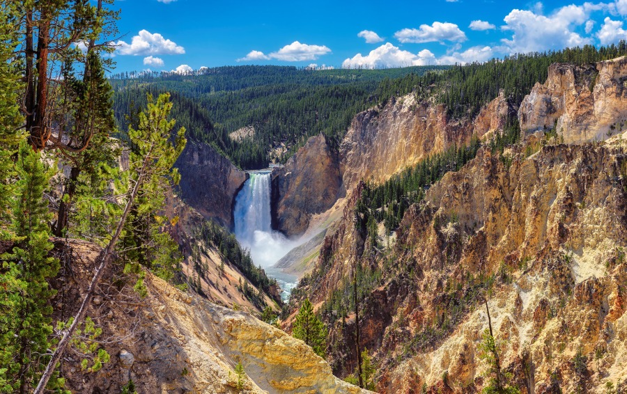 yellowstone falls