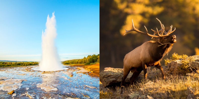 yellowstone information