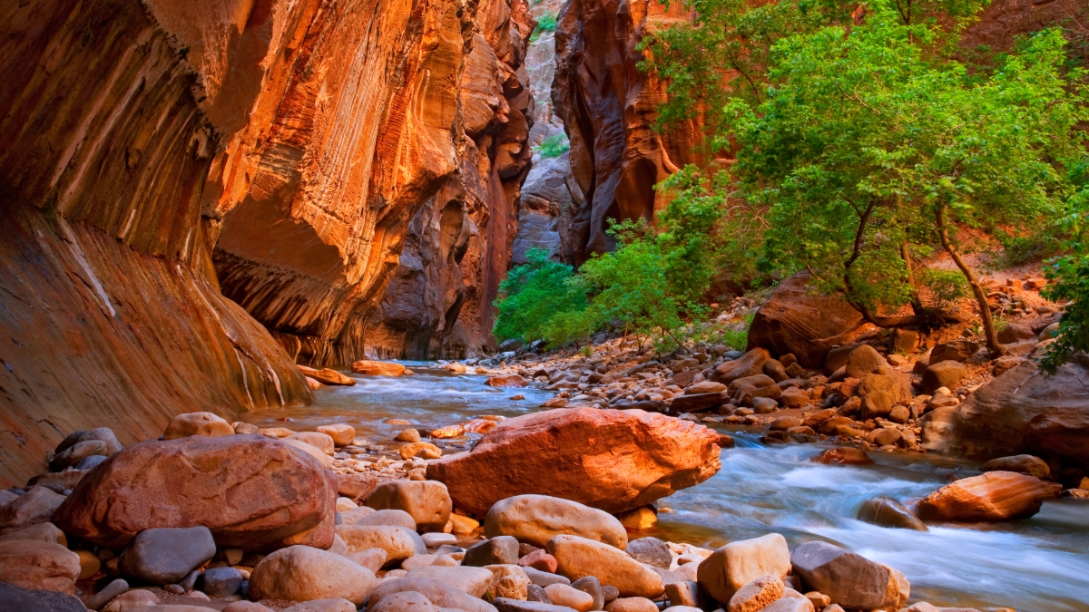 Zion Narrows Hike